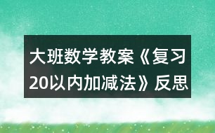 大班數(shù)學教案《復習20以內(nèi)加減法》反思