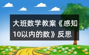 大班數(shù)學(xué)教案《感知10以內(nèi)的數(shù)》反思