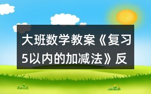 大班數(shù)學(xué)教案《復(fù)習(xí)5以?xún)?nèi)的加減法》反思