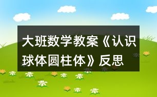 大班數(shù)學(xué)教案《認(rèn)識(shí)球體、圓柱體》反思