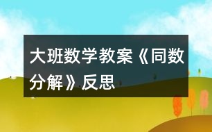 大班數學教案《同數分解》反思