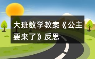 大班數(shù)學(xué)教案《公主要來了》反思