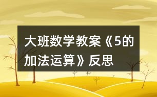 大班數(shù)學(xué)教案《5的加法運(yùn)算》反思