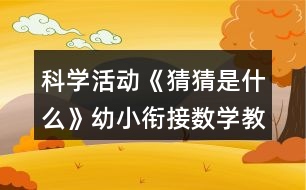 科學活動《猜猜是什么》幼小銜接數(shù)學教案20以內(nèi)倒數(shù)