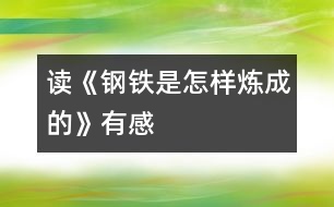 讀《鋼鐵是怎樣煉成的》有感