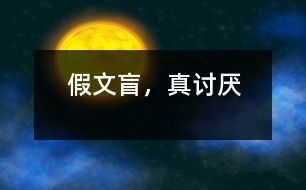 假文盲，真討厭