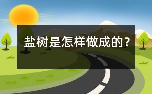 鹽樹是怎樣做成的？