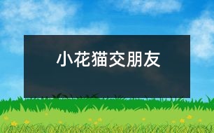 小花貓交朋友