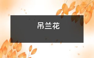 吊蘭花