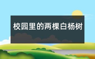 校園里的兩棵白楊樹(shù)