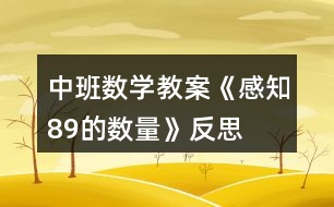 中班數(shù)學(xué)教案《感知8、9的數(shù)量》反思