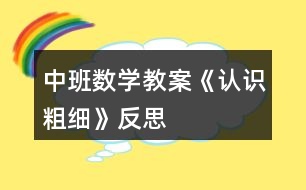 中班數(shù)學(xué)教案《認(rèn)識粗細(xì)》反思