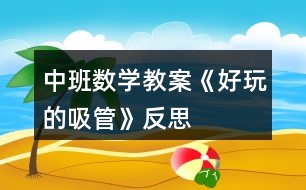 中班數(shù)學教案《好玩的吸管》反思