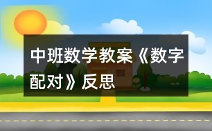 中班數(shù)學(xué)教案《數(shù)字配對(duì)》反思