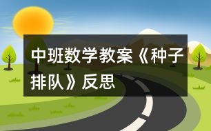 中班數(shù)學(xué)教案《種子排隊(duì)》反思