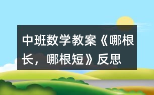 中班數(shù)學(xué)教案《哪根長，哪根短》反思