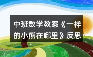 中班數(shù)學教案《一樣的小熊在哪里》反思