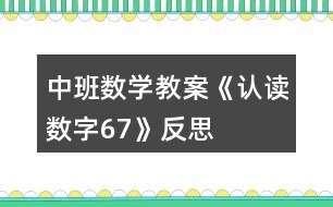 中班數(shù)學教案《認讀數(shù)字6、7》反思