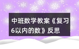 中班數(shù)學(xué)教案《復(fù)習(xí)6以內(nèi)的數(shù)》反思