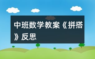 中班數(shù)學(xué)教案《拼搭》反思