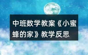 中班數(shù)學(xué)教案《小蜜蜂的家》教學(xué)反思