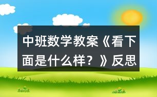 中班數(shù)學(xué)教案《看下面是什么樣？》反思