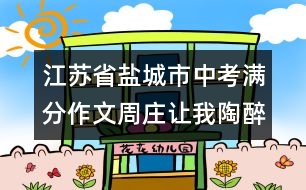 江蘇省鹽城市中考滿分作文：周莊讓我陶醉