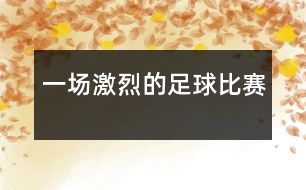 一場(chǎng)激烈的足球比賽