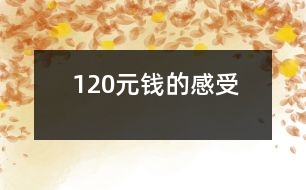 “120元錢”的感受