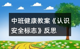 中班健康教案《認(rèn)識安全標(biāo)志》反思