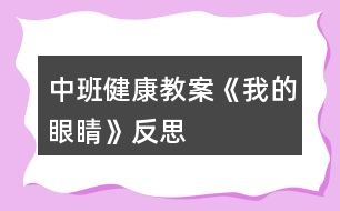 中班健康教案《我的眼睛》反思