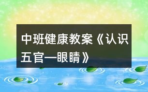 中班健康教案《認(rèn)識五官―眼睛》