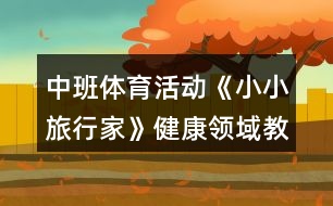 中班體育活動《小小旅行家》健康領(lǐng)域教案反思