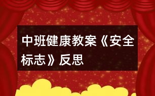 中班健康教案《安全標志》反思