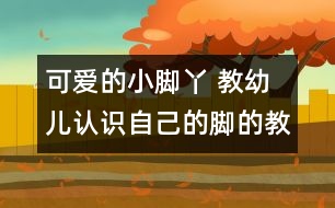 可愛的小腳丫 教幼兒認(rèn)識自己的腳的教案