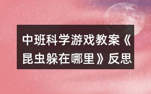 中班科學(xué)游戲教案《昆蟲躲在哪里》反思