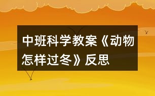 中班科學(xué)教案《動物怎樣過冬》反思