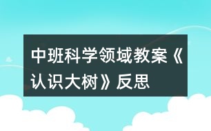 中班科學(xué)領(lǐng)域教案《認識大樹》反思