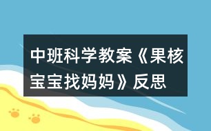 中班科學教案《果核寶寶找媽媽》反思