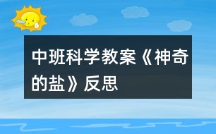 中班科學教案《神奇的鹽》反思