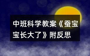 中班科學(xué)教案《蠶寶寶長大了》附反思