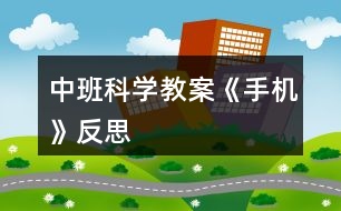 中班科學(xué)教案《手機》反思