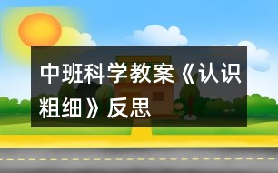 中班科學(xué)教案《認(rèn)識粗細(xì)》反思