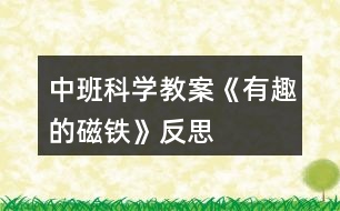 中班科學(xué)教案《有趣的磁鐵》反思