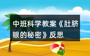 中班科學(xué)教案《肚臍眼的秘密》反思