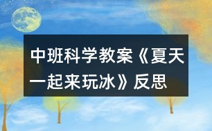 中班科學(xué)教案《夏天一起來玩冰》反思