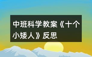 中班科學(xué)教案《十個(gè)小矮人》反思