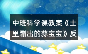 中班科學(xué)課教案《土里蹦出的蒜寶寶》反思