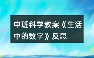 中班科學教案《生活中的數(shù)字》反思