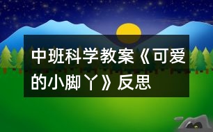 中班科學(xué)教案《可愛的小腳丫》反思